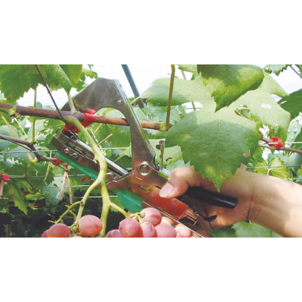 GardenLine Kerti tűzőgép növények összekötéséhez2 https://velizo.fr/termekkategoria/szepsegapolas-egeszseg/