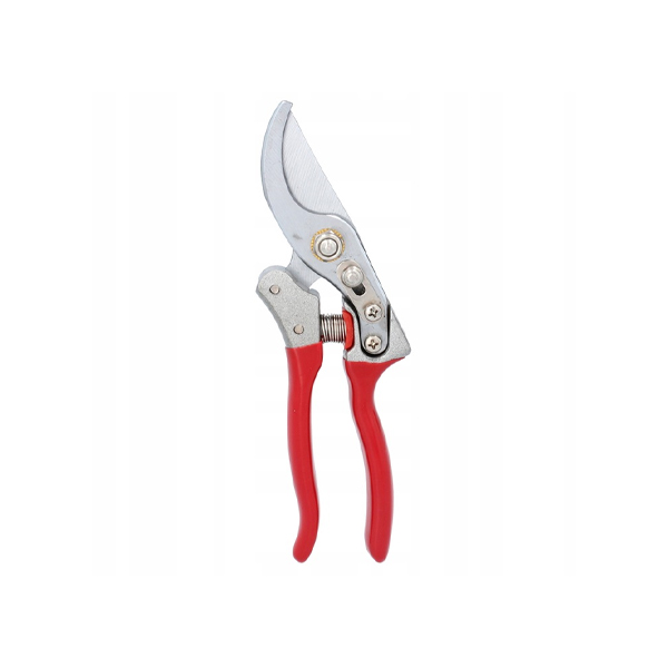 https://velizo.fr/termekkategoria/szepsegapolas-egeszseg/