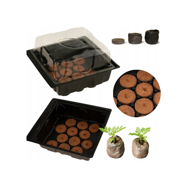 Mini üvegház 12 tőzegkoronggal 21,5x18,5x6,5 cm2 https://velizo.fr/termekkategoria/szepsegapolas-egeszseg/