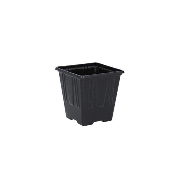https://velizo.fr/termekkategoria/szepsegapolas-egeszseg/