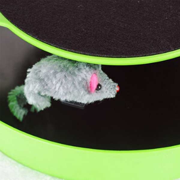 Macska játék mozgó egérrel és kaparó felülettel - 25x6,5 cm - Zöld3 https://velizo.fr/termekkategoria/szepsegapolas-egeszseg/