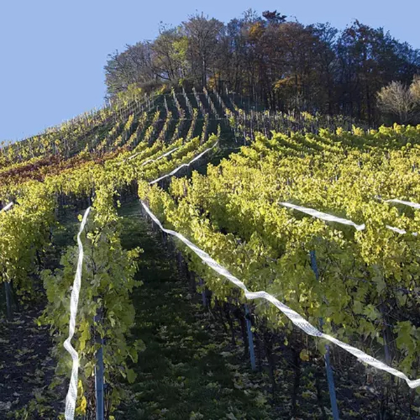 Madárijesztő szalag - 50 m5 https://velizo.fr/termekkategoria/szepsegapolas-egeszseg/