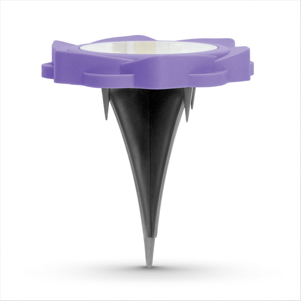 https://velizo.fr/termekkategoria/szepsegapolas-egeszseg/