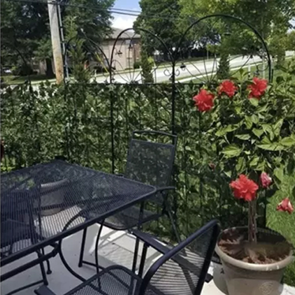 Borostyan-erkelyre-300-x-50-cm-Zold2 https://velizo.fr/termekkategoria/szepsegapolas-egeszseg/