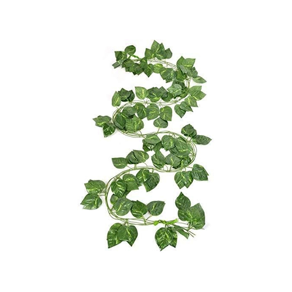 https://velizo.fr/termekkategoria/szepsegapolas-egeszseg/