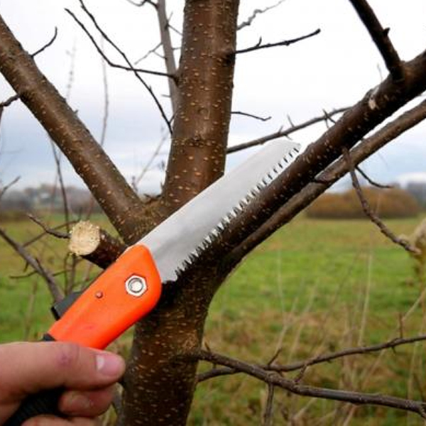 Összecsukható kézifűrész - 15 cm https://velizo.fr/termekkategoria/szepsegapolas-egeszseg/