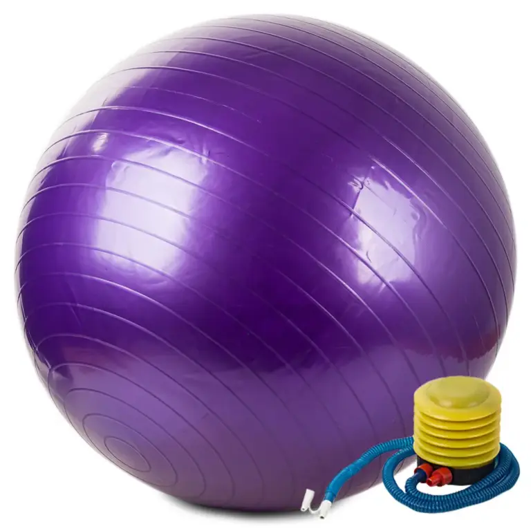 Ballon de gymnastique et de rééducation Ø 65 cm violet avec pompe