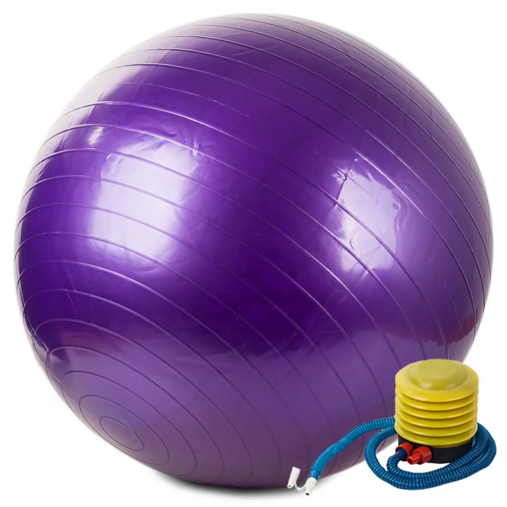 Ballon de gymnastique et de rééducation Ø 65 cm violet avec pompe Ballon de gymnastique et de rééducation Ø 65 cm violet avec pompe
